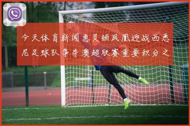 今天体育新闻惠灵顿凤凰迎战西悉尼足球队争夺澳超联赛重要积分之战